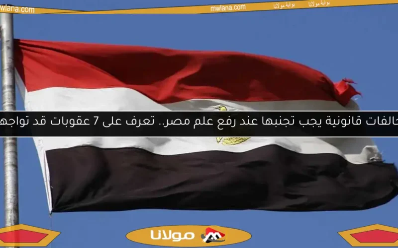 مخالفات قانونية يجب تجنبها عند رفع علم مصر.. تعرف على 7 عقوبات قد تواجهها