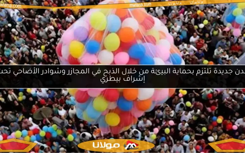 مدن جديدة تلتزم بحماية البيئة من خلال الذبح في المجازر وشوادر الأضاحي تحت إشراف بيطري