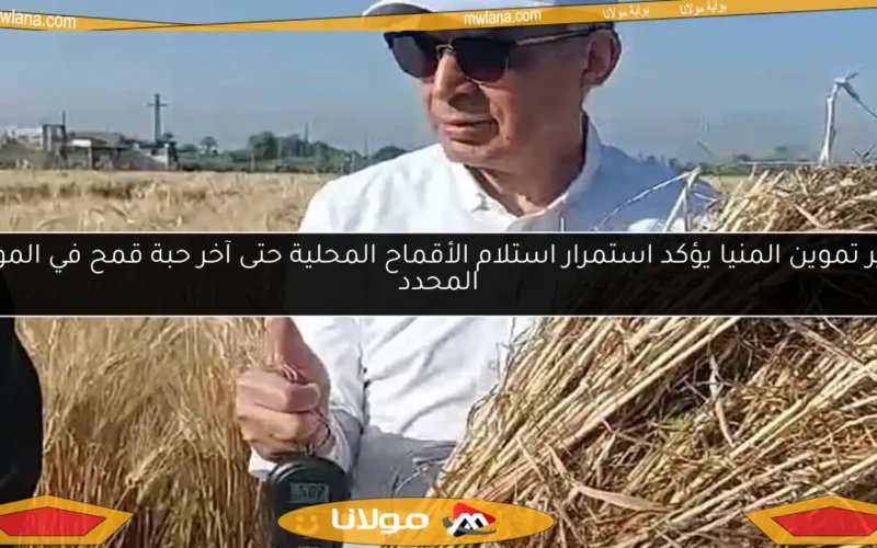 مدير تموين المنيا يؤكد استمرار استلام الأقماح المحلية حتى آخر حبة قمح في الموعد المحدد