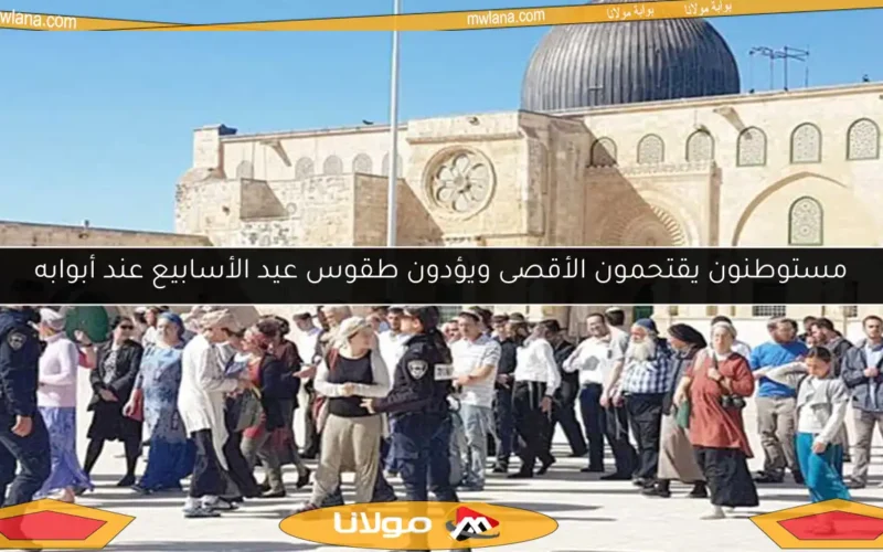 مستوطنون يقتحمون الأقصى ويؤدون طقوس عيد الأسابيع عند أبوابه