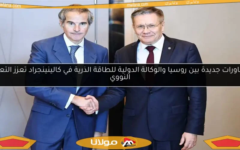 مشاورات جديدة بين روسيا والوكالة الدولية للطاقة الذرية في كالينينجراد تعزز التعاون النووي
