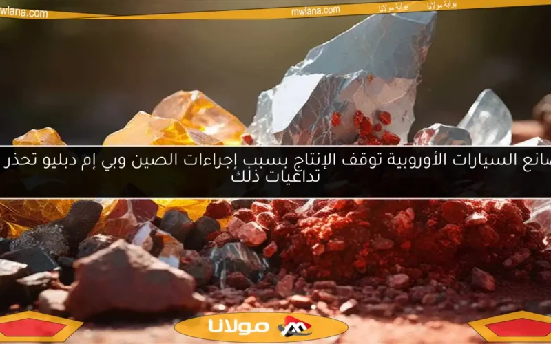 مصانع السيارات الأوروبية توقف الإنتاج بسبب إجراءات الصين وبي إم دبليو تحذر من تداعيات ذلك