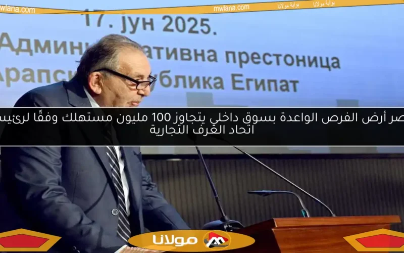 مصر أرض الفرص الواعدة بسوق داخلي يتجاوز 100 مليون مستهلك وفقًا لرئيس اتحاد الغرف التجارية