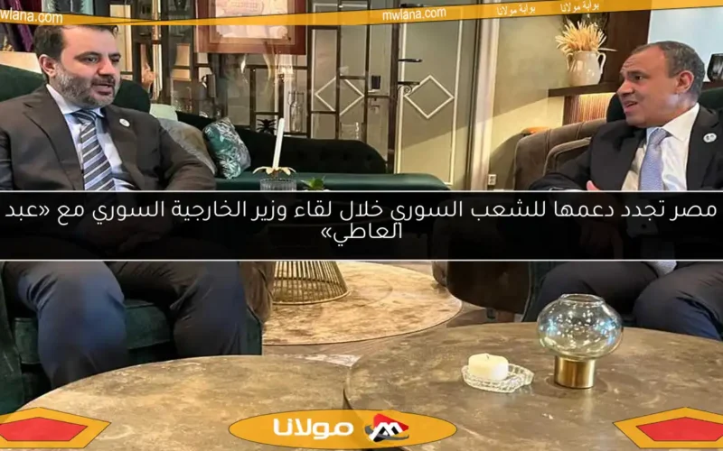 مصر تجدد دعمها للشعب السوري خلال لقاء وزير الخارجية السوري مع «عبد العاطي»