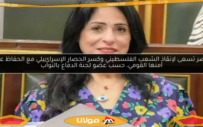 مصر تسعى لإنقاذ الشعب الفلسطيني وكسر الحصار الإسرائيلي مع الحفاظ على أمنها القومي، حسب عضو لجنة الدفاع بالنواب