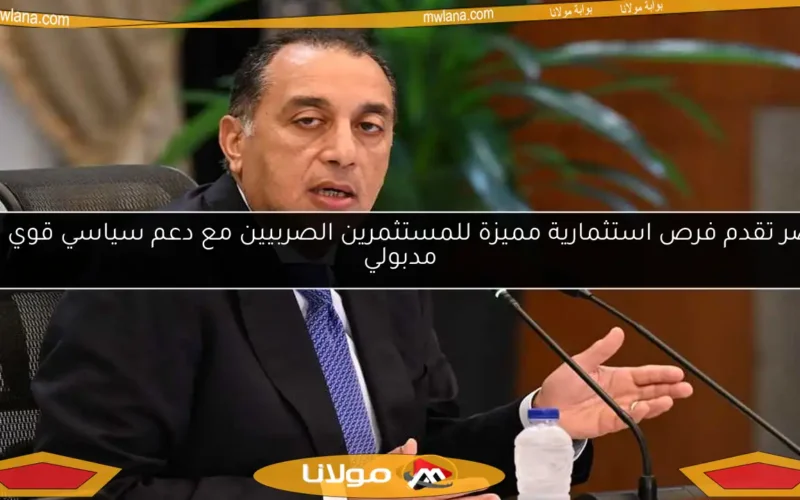مصر تقدم فرص استثمارية مميزة للمستثمرين الصربيين مع دعم سياسي قوي من مدبولي