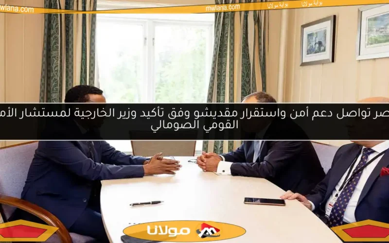 مصر تواصل دعم أمن واستقرار مقديشو وفق تأكيد وزير الخارجية لمستشار الأمن القومي الصومالي