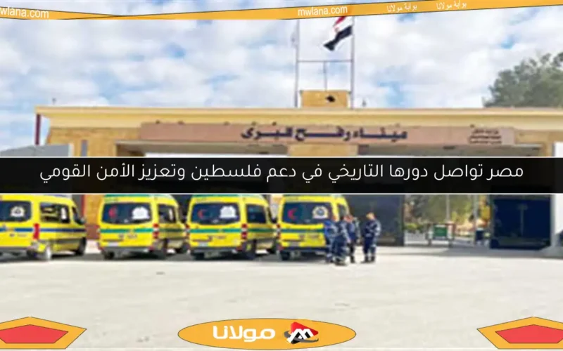 مصر تواصل دورها التاريخي في دعم فلسطين وتعزيز الأمن القومي