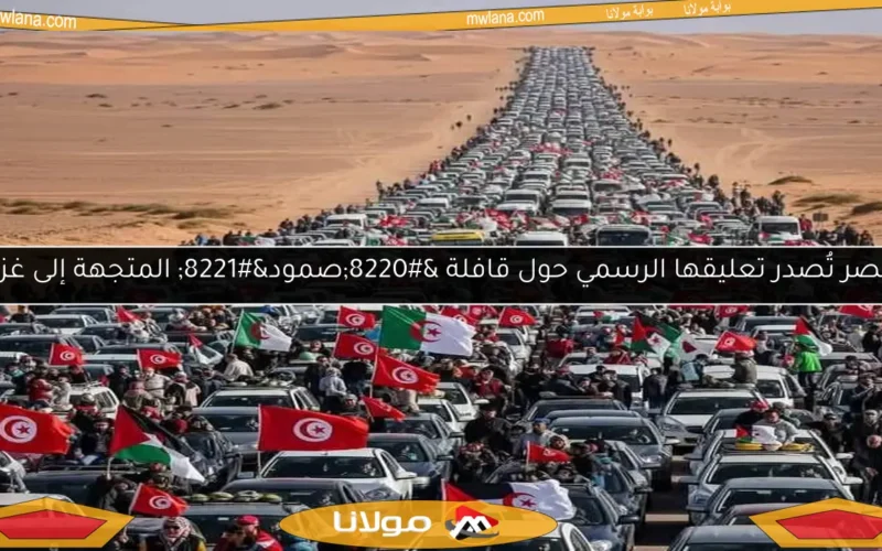 مصر تُصدر تعليقها الرسمي حول قافلة “صمود” المتجهة إلى غزة