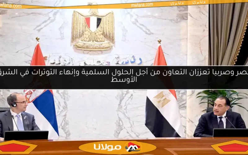 مصر وصربيا تعززان التعاون من أجل الحلول السلمية وإنهاء التوترات في الشرق الأوسط