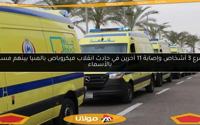 مصرع 3 أشخاص وإصابة 11 آخرين في حادث انقلاب ميكروباص بالمنيا بينهم مسنون بالأسماء