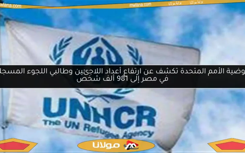 مفوضية الأمم المتحدة تكشف عن ارتفاع أعداد اللاجئين وطالبي اللجوء المسجلين في مصر إلى 981 ألف شخص