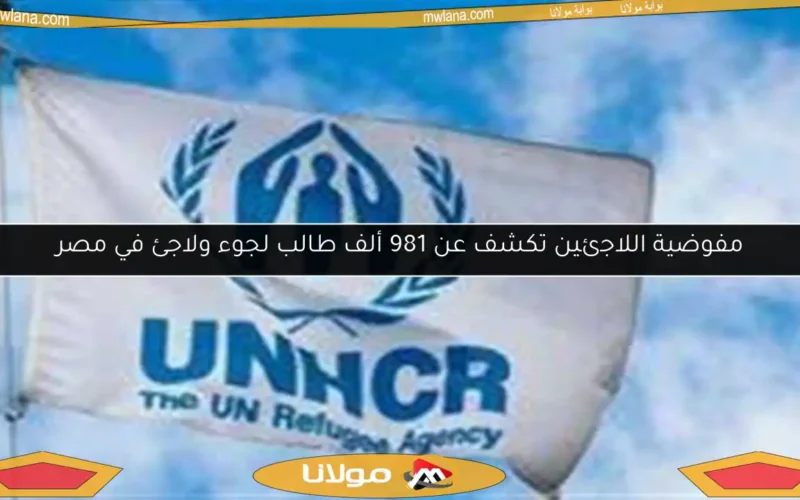 مفوضية اللاجئين تكشف عن 981 ألف طالب لجوء ولاجئ في مصر