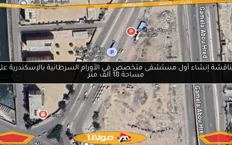 مناقشة إنشاء أول مستشفى متخصص في الأورام السرطانية بالإسكندرية على مساحة 18 ألف متر