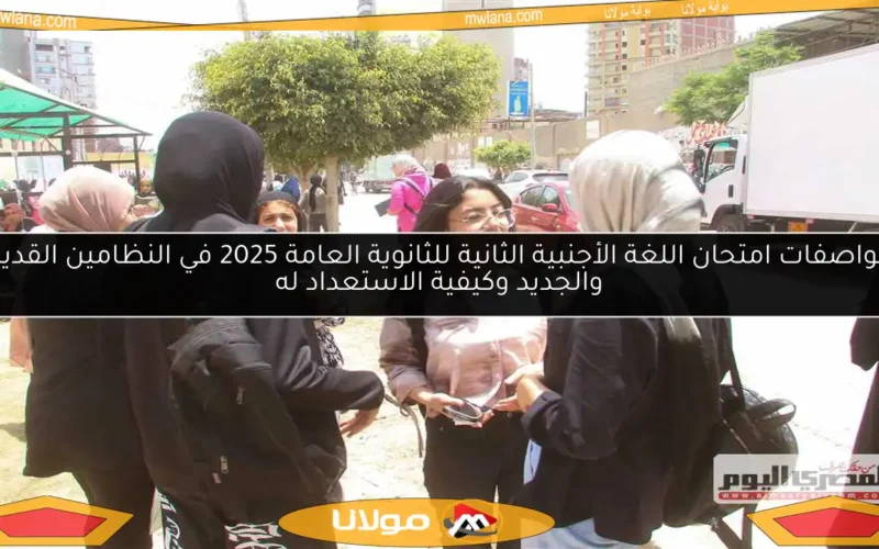مواصفات امتحان اللغة الأجنبية الثانية للثانوية العامة 2025 في النظامين القديم والجديد وكيفية الاستعداد له