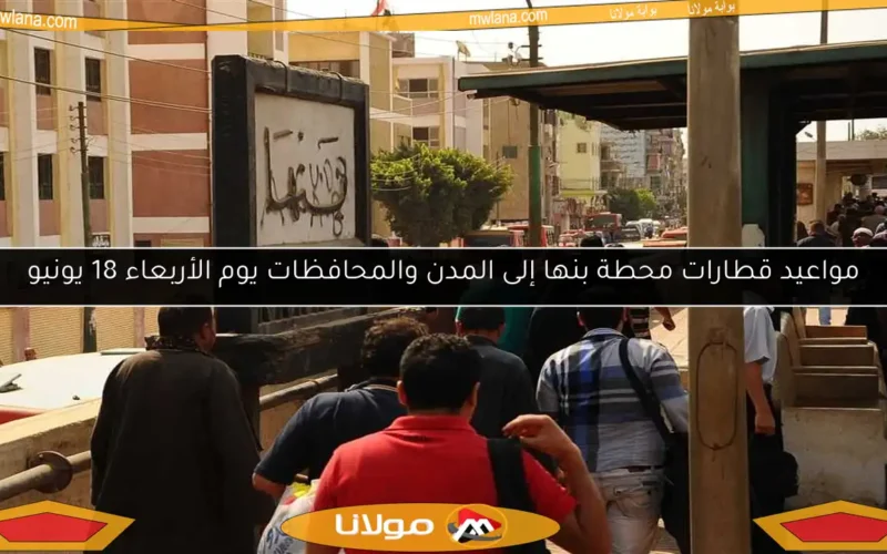 مواعيد قطارات محطة بنها إلى المدن والمحافظات يوم الأربعاء 18 يونيو