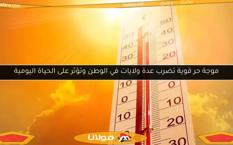 موجة حر قوية تضرب عدة ولايات في الوطن وتؤثر على الحياة اليومية