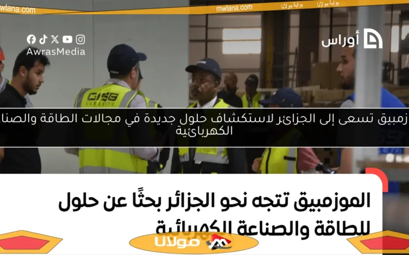 موزمبيق تسعى إلى الجزائر لاستكشاف حلول جديدة في مجالات الطاقة والصناعة الكهربائية