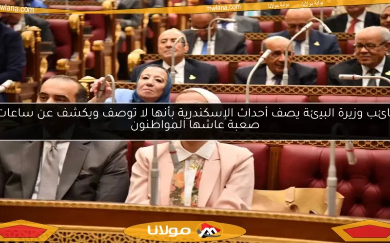 نائب وزيرة البيئة يصف أحداث الإسكندرية بأنها لا توصف ويكشف عن ساعات صعبة عاشها المواطنون