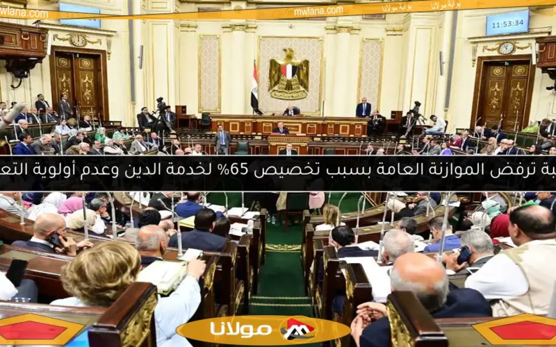نائبة ترفض الموازنة العامة بسبب تخصيص 65% لخدمة الدين وعدم أولوية التعليم
