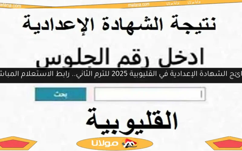 نتائج الشهادة الإعدادية في القليوبية 2025 للترم الثاني.. رابط الاستعلام المباشر