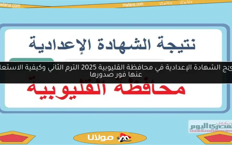 نتائج الشهادة الإعدادية في محافظة القليوبية 2025 الترم الثاني وكيفية الاستعلام عنها فور صدورها