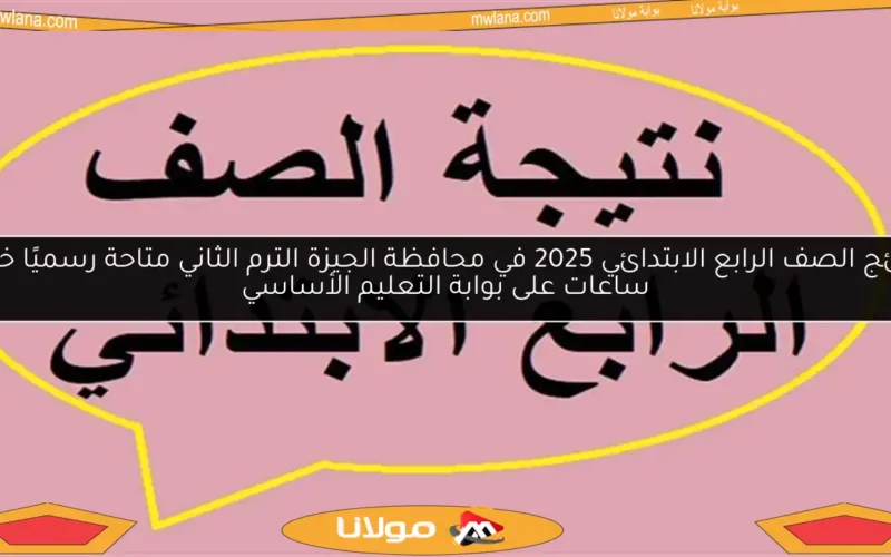 نتائج الصف الرابع الابتدائي 2025 في محافظة الجيزة الترم الثاني متاحة رسميًا خلال ساعات على بوابة التعليم الأساسي