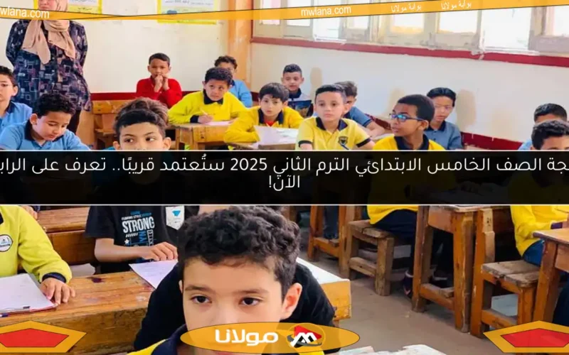 نتيجة الصف الخامس الابتدائي الترم الثاني 2025 ستُعتمد قريبًا.. تعرف على الرابط الآن!