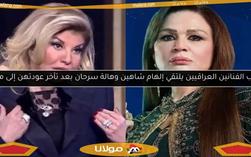 نقيب الفنانين العراقيين يلتقي إلهام شاهين وهالة سرحان بعد تأخر عودتهن إلى مصر