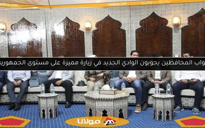 نواب المحافظين يجوبون الوادي الجديد في زيارة مميزة على مستوى الجمهورية