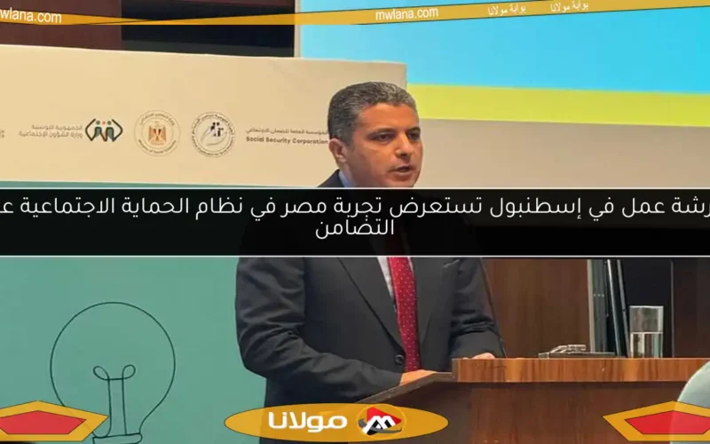 ورشة عمل في إسطنبول تستعرض تجربة مصر في نظام الحماية الاجتماعية عبر التضامن
