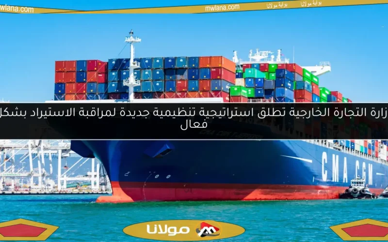 وزارة التجارة الخارجية تطلق استراتيجية تنظيمية جديدة لمراقبة الاستيراد بشكل فعال