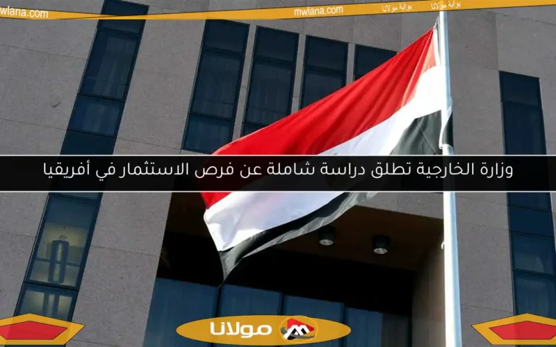 وزارة الخارجية تطلق دراسة شاملة عن فرص الاستثمار في أفريقيا