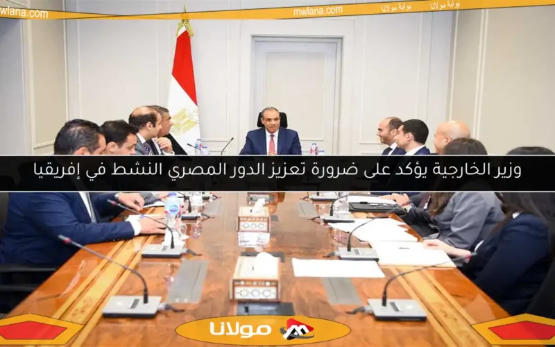 وزير الخارجية يؤكد على ضرورة تعزيز الدور المصري النشط في إفريقيا