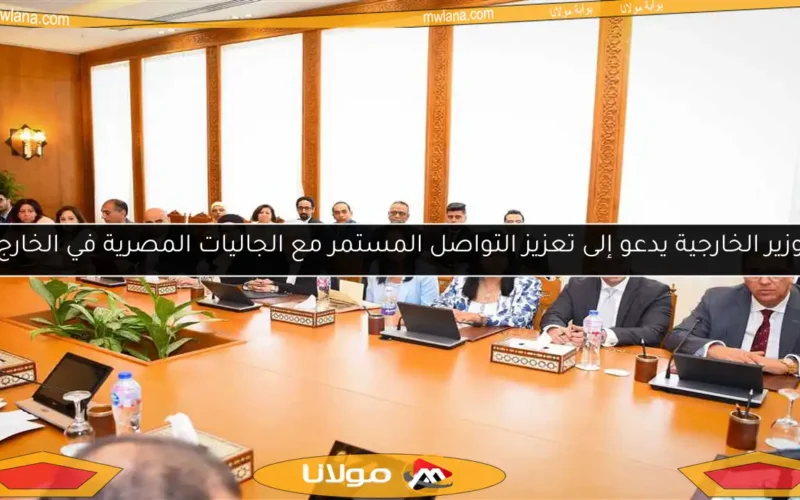 وزير الخارجية يدعو إلى تعزيز التواصل المستمر مع الجاليات المصرية في الخارج