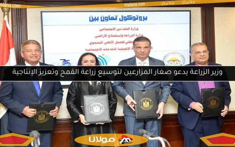 وزير الزراعة يدعو صغار المزارعين لتوسيع زراعة القمح وتعزيز الإنتاجية