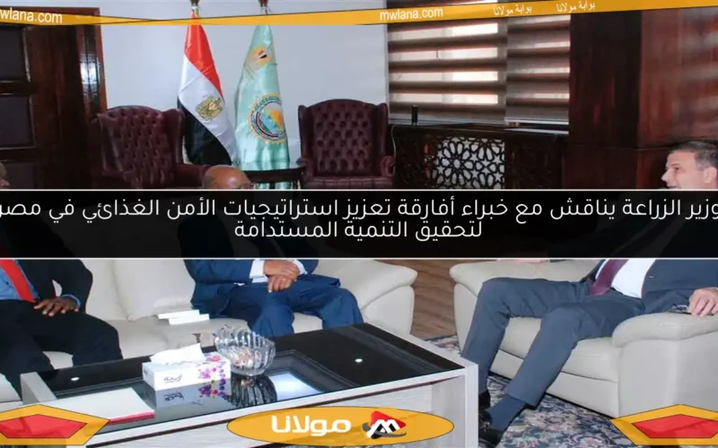 وزير الزراعة يناقش مع خبراء أفارقة تعزيز استراتيجيات الأمن الغذائي في مصر لتحقيق التنمية المستدامة