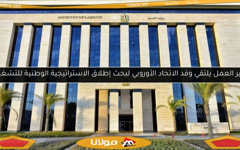 وزير العمل يلتقي وفد الاتحاد الأوروبي لبحث إطلاق الاستراتيجية الوطنية للتشغيل