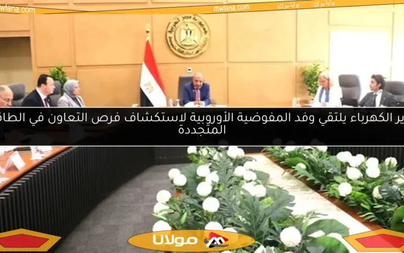 وزير الكهرباء يلتقي وفد المفوضية الأوروبية لاستكشاف فرص التعاون في الطاقة المتجددة