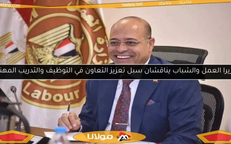 وزيرا العمل والشباب يناقشان سبل تعزيز التعاون في التوظيف والتدريب المهني