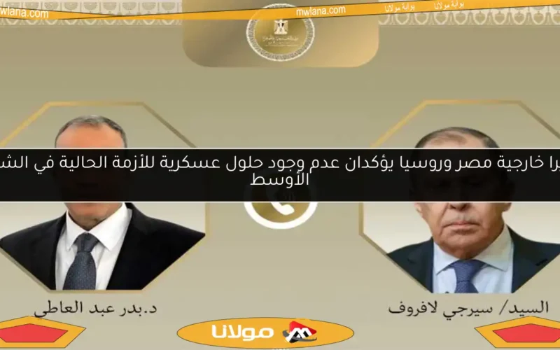 وزيرا خارجية مصر وروسيا يؤكدان عدم وجود حلول عسكرية للأزمة الحالية في الشرق الأوسط