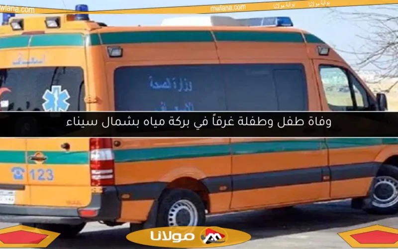 وفاة طفل وطفلة غرقاً في بركة مياه بشمال سيناء