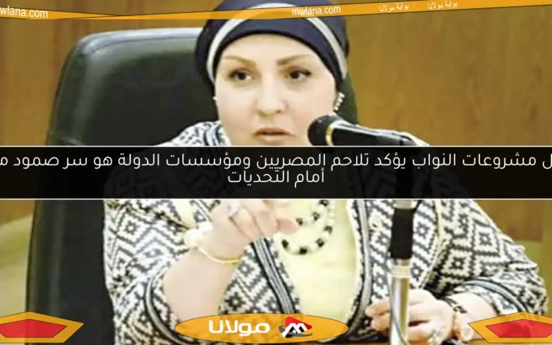 وكيل مشروعات النواب يؤكد تلاحم المصريين ومؤسسات الدولة هو سر صمود مصر أمام التحديات