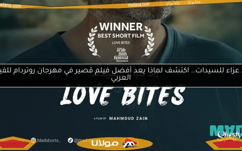 ولا عزاء للسيدات.. اكتشف لماذا يعد أفضل فيلم قصير في مهرجان روتردام للفيلم العربي