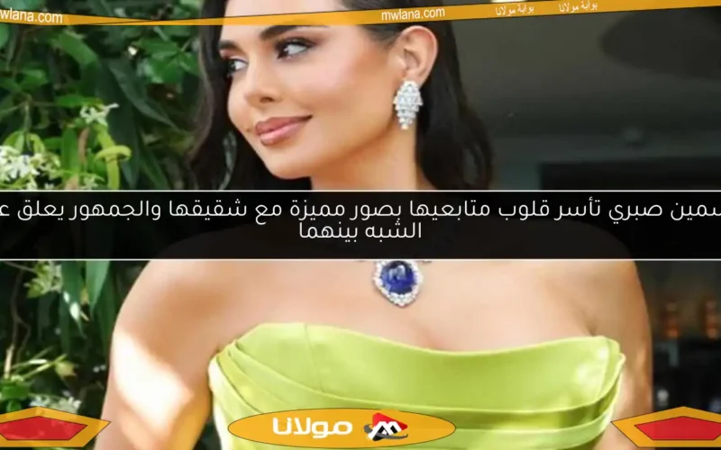ياسمين صبري تأسر قلوب متابعيها بصور مميزة مع شقيقها والجمهور يعلق على الشبه بينهما