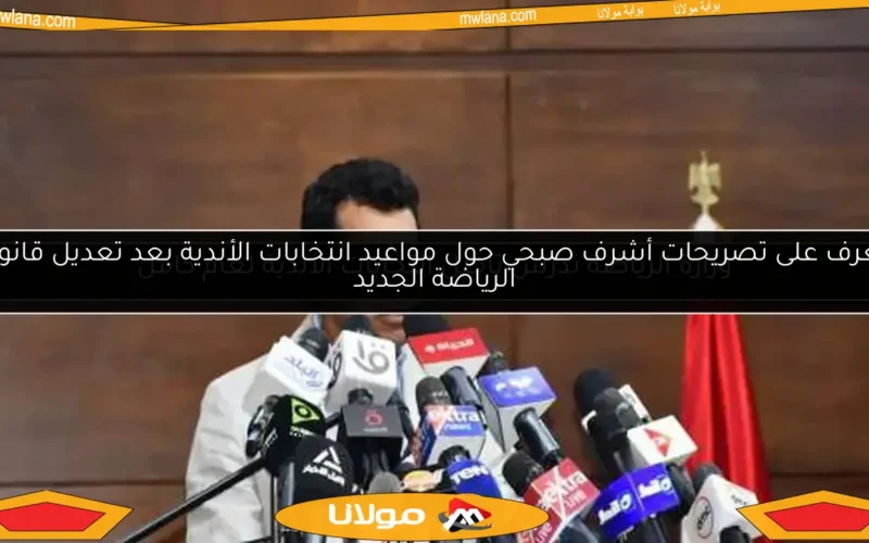 وزارة الرياضة تدرس تأجيل انتخابات الأندية لعام كامل