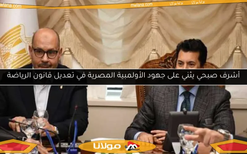 أشرف صبحي يثني على جهود الأولمبية المصرية في تعديل قانون الرياضة