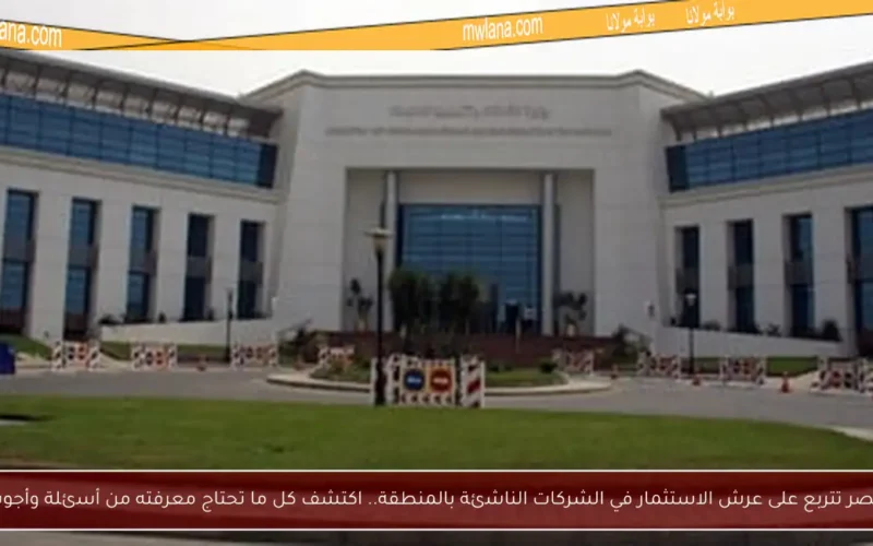 مصر تتربع على عرش الاستثمار في الشركات الناشئة بالمنطقة.. اكتشف كل ما تحتاج معرفته من أسئلة وأجوبة