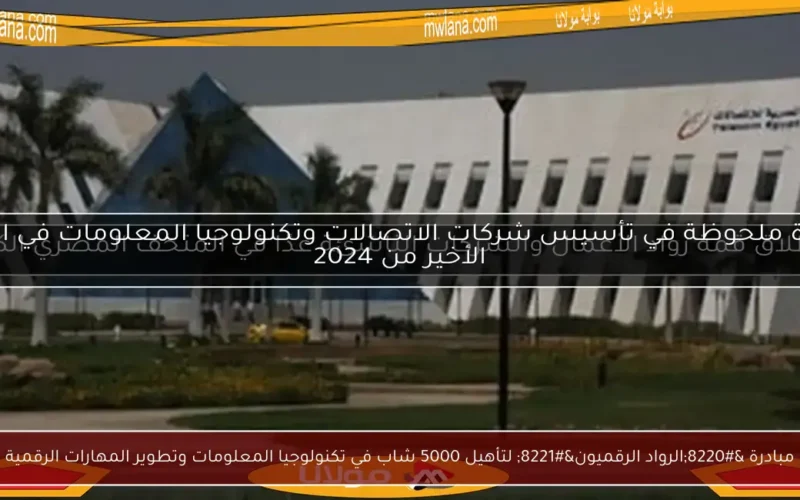 مبادرة “الرواد الرقميون” لتأهيل 5000 شاب في تكنولوجيا المعلومات وتطوير المهارات الرقمية