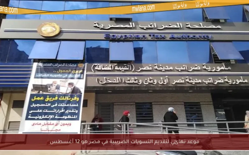 موعد نهائي لتقديم التسويات الضريبية في مصر هو 12 أغسطس